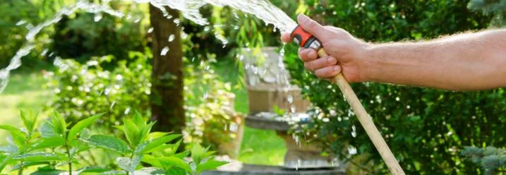 Hand hält Gartenschlauch mit Brause